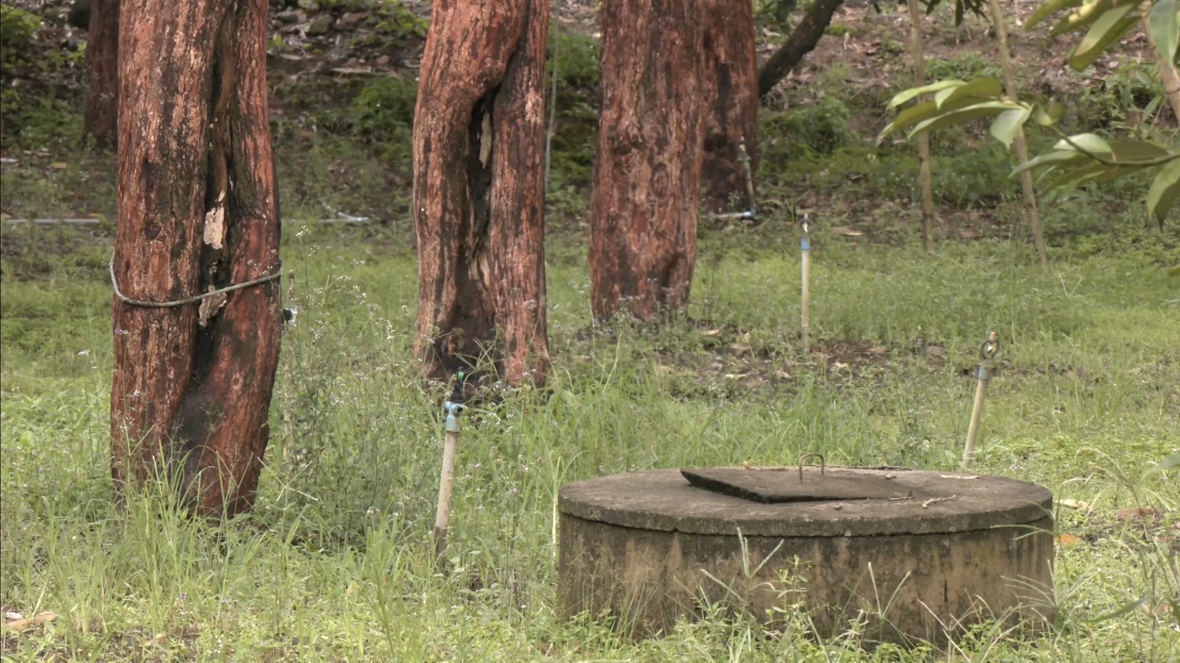 เจ้าของสวนทุเรียน ต.พลวง อ.เขาคิชฌกูฏ จ.จันทบุรี ยันกับกษ.จันท์-สวพ.6 ไม่ได้ขายให้ล้งกลับถูกระงับ DOA จ่อแจ้งความคนนำเอกสารไปใช้โดยมิชอบ 7 S 156803153