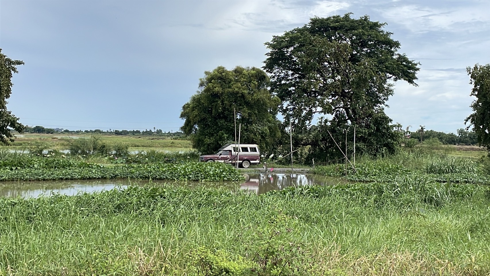 โพธิ์พระยา สุพรรณฯ มติชาวบ้านยัน S 159653915