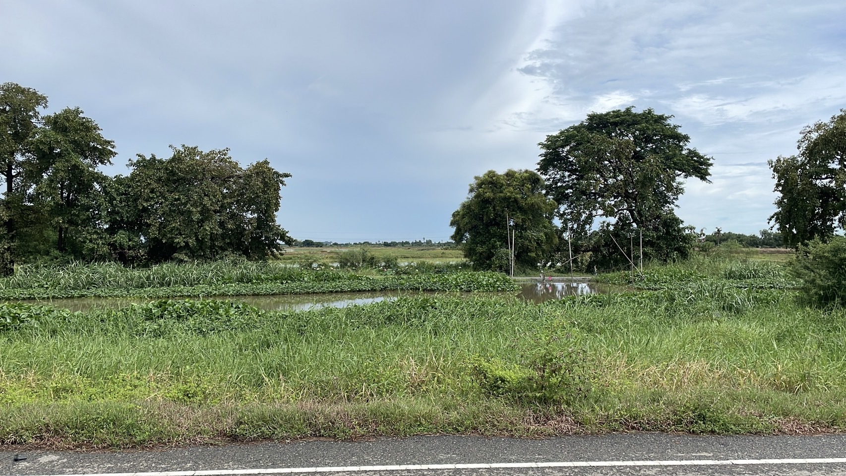 โพธิ์พระยา สุพรรณฯ มติชาวบ้านยัน S 159653916