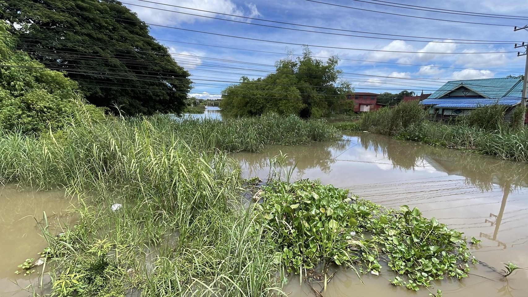 โพธิ์พระยา สุพรรณฯ มติชาวบ้านยัน S 159694860