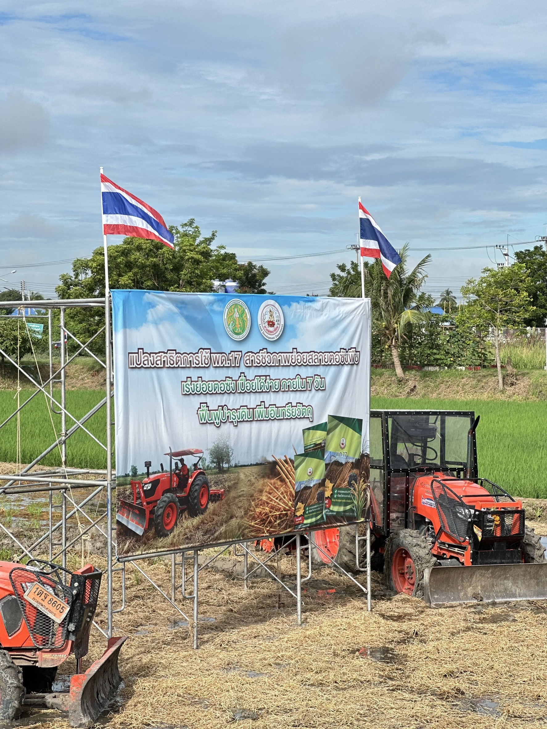 กรมพัฒนาที่ดิน เปิดตัว “พด.17” สารชีวภาพย่อยสลายตอซังพืช เร่งสลายตอซังพืชใน 7 วัน ลดการเผา ฟื้นฟูดิน รักษาสิ่งแวดล้อม 5 S 17162258