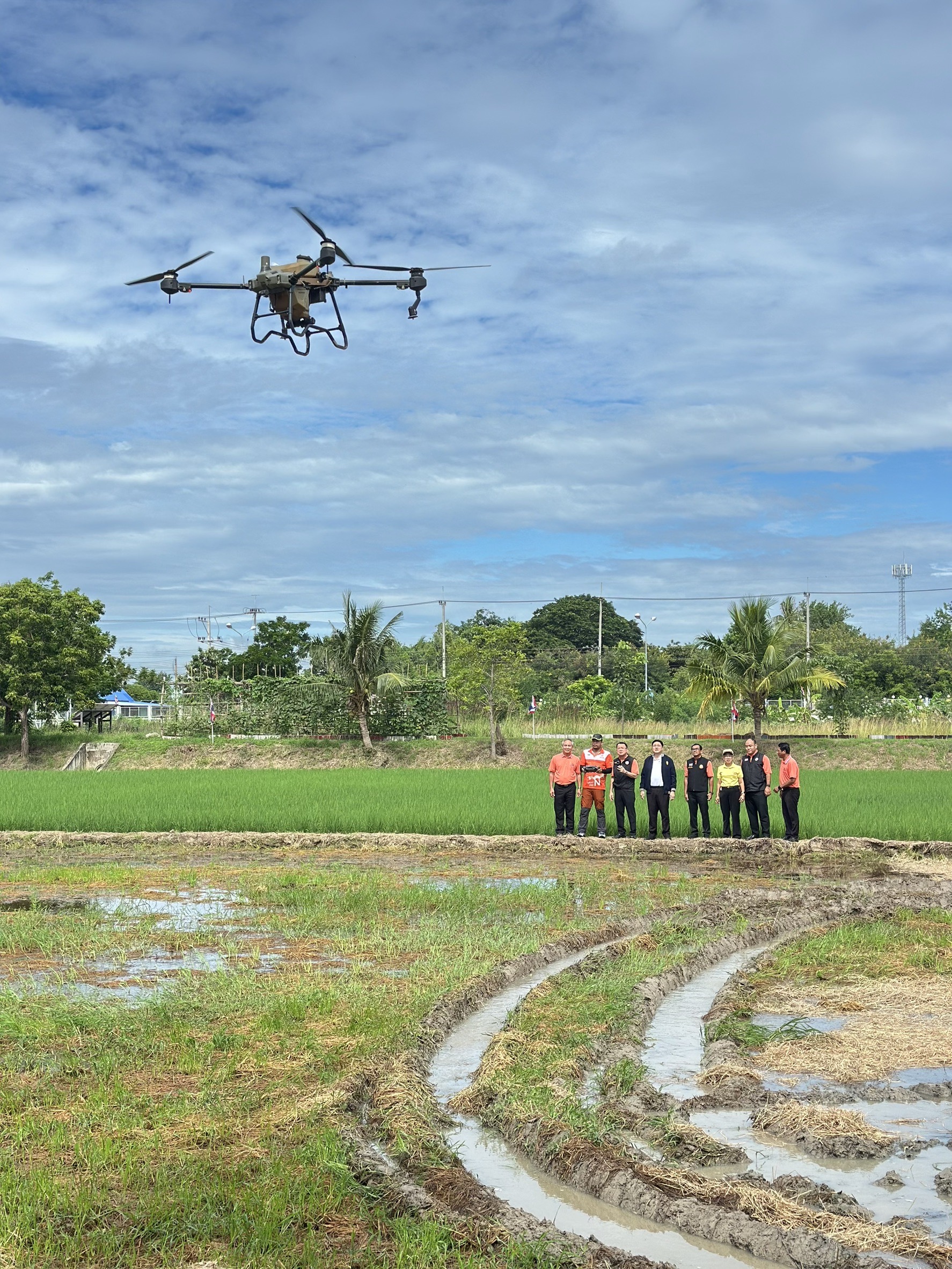 กรมพัฒนาที่ดิน เปิดตัว “พด.17” สารชีวภาพย่อยสลายตอซังพืช เร่งสลายตอซังพืชใน 7 วัน ลดการเผา ฟื้นฟูดิน รักษาสิ่งแวดล้อม 4 S 17162261