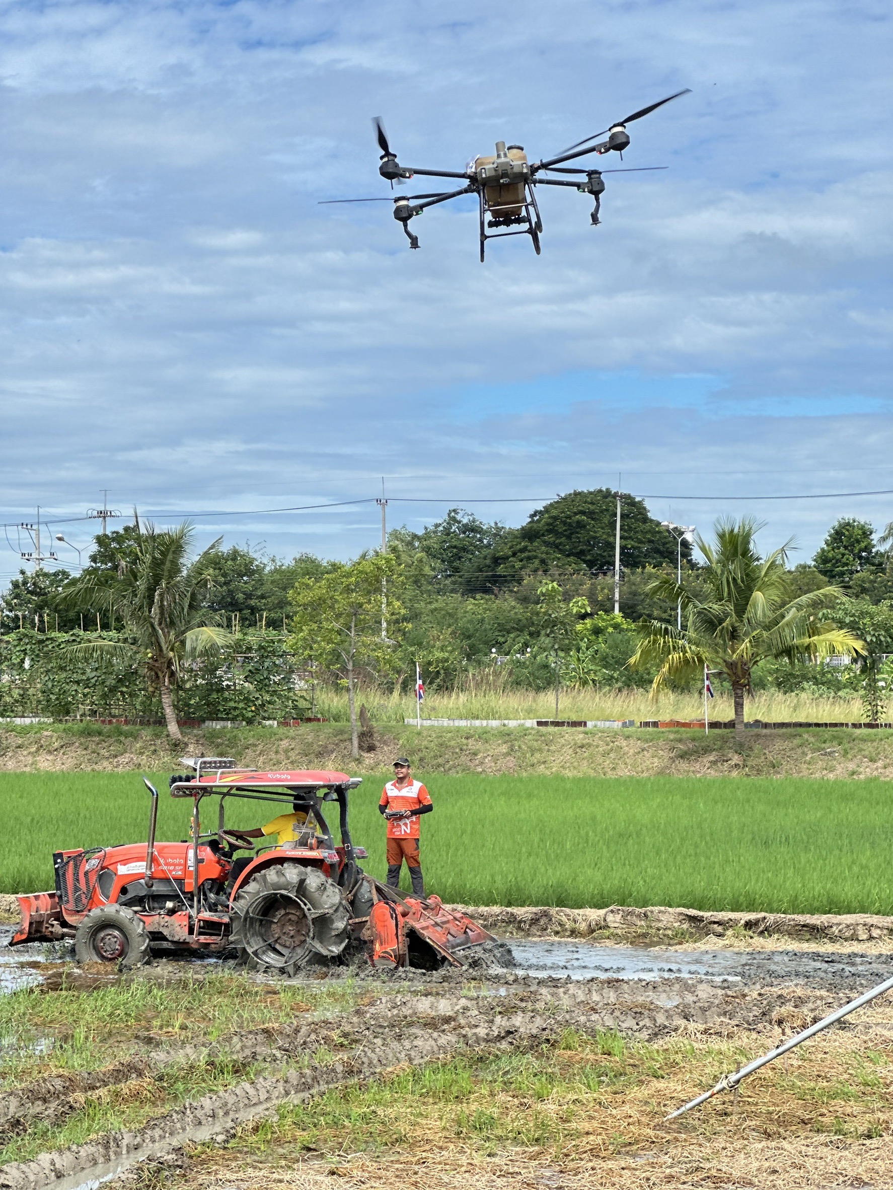 กรมพัฒนาที่ดิน เปิดตัว “พด.17” สารชีวภาพย่อยสลายตอซังพืช เร่งสลายตอซังพืชใน 7 วัน ลดการเผา ฟื้นฟูดิน รักษาสิ่งแวดล้อม 6 S 17162262