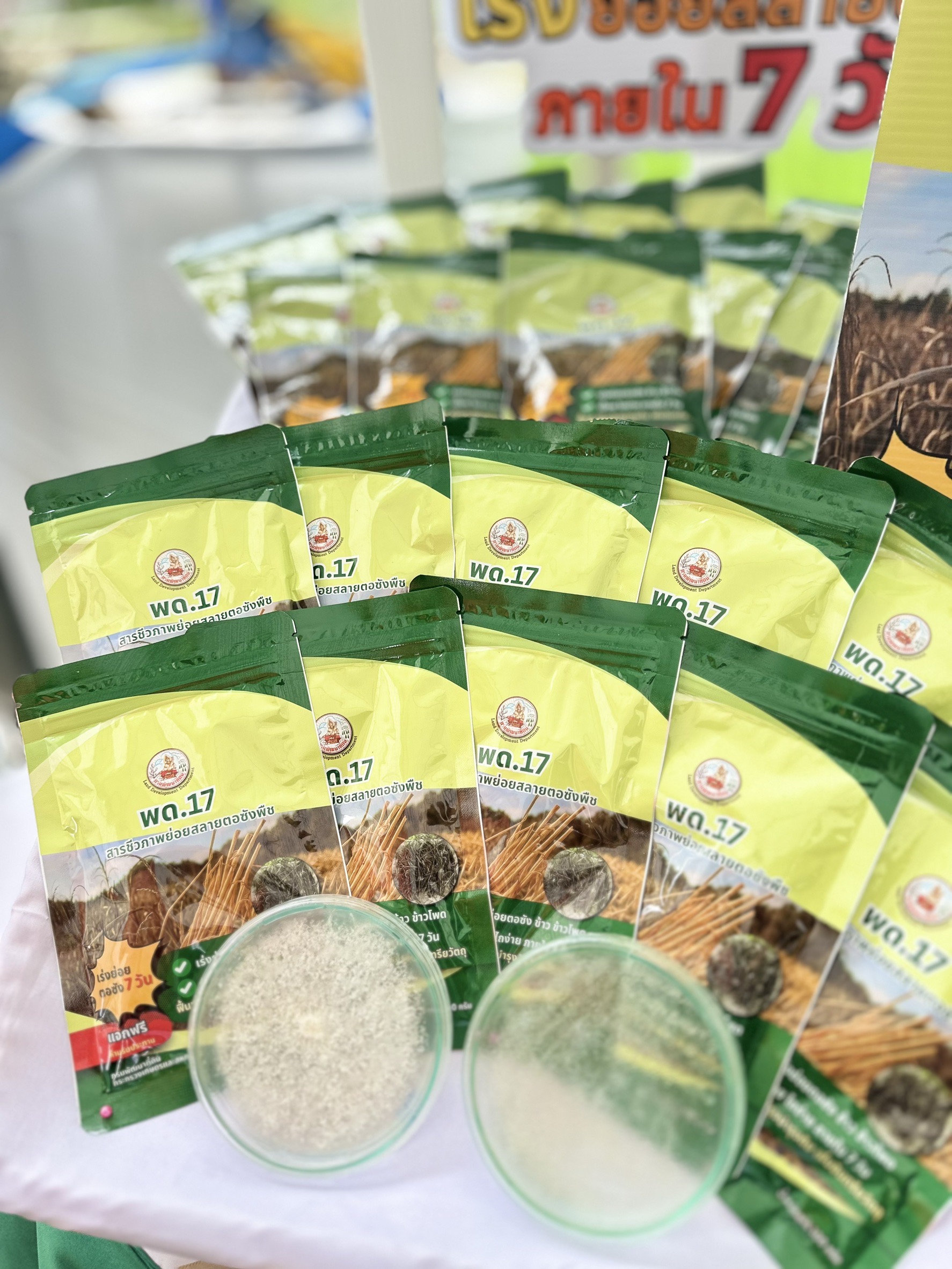 กรมพัฒนาที่ดิน เปิดตัว “พด.17” สารชีวภาพย่อยสลายตอซังพืช เร่งสลายตอซังพืชใน 7 วัน ลดการเผา ฟื้นฟูดิน รักษาสิ่งแวดล้อม 7 S 17162272