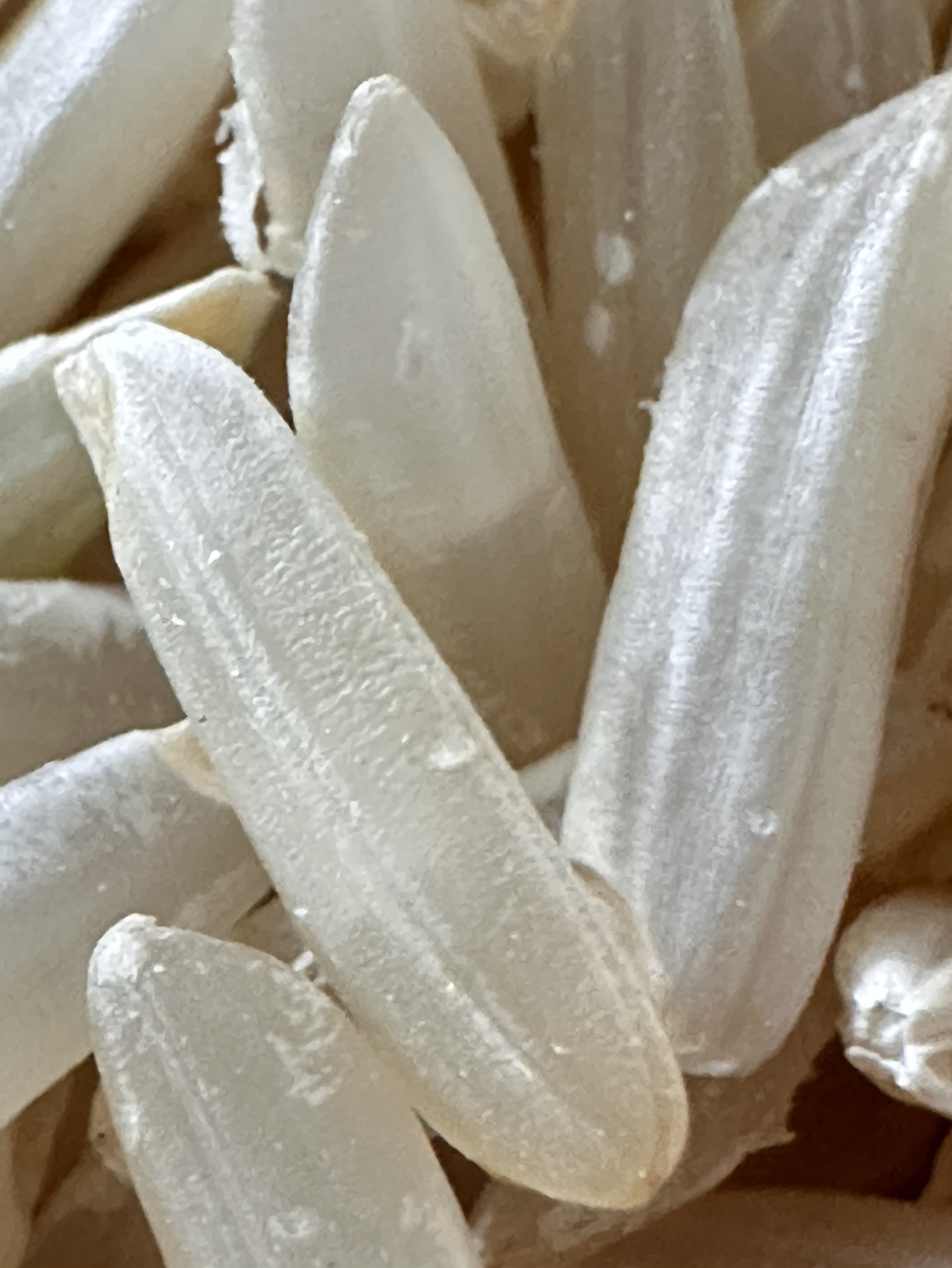 อธิบดีกรมการข้าว เผยข่าวดี กรมการข้าว คลอดพันธุ์ข้าว 4 พันธุ์ใหม่ ชูคุณภาพดี ให้ผลผลิตสูง ตรงตามความต้องการของชาวนาและผู้บริโภค 5 S 17203300