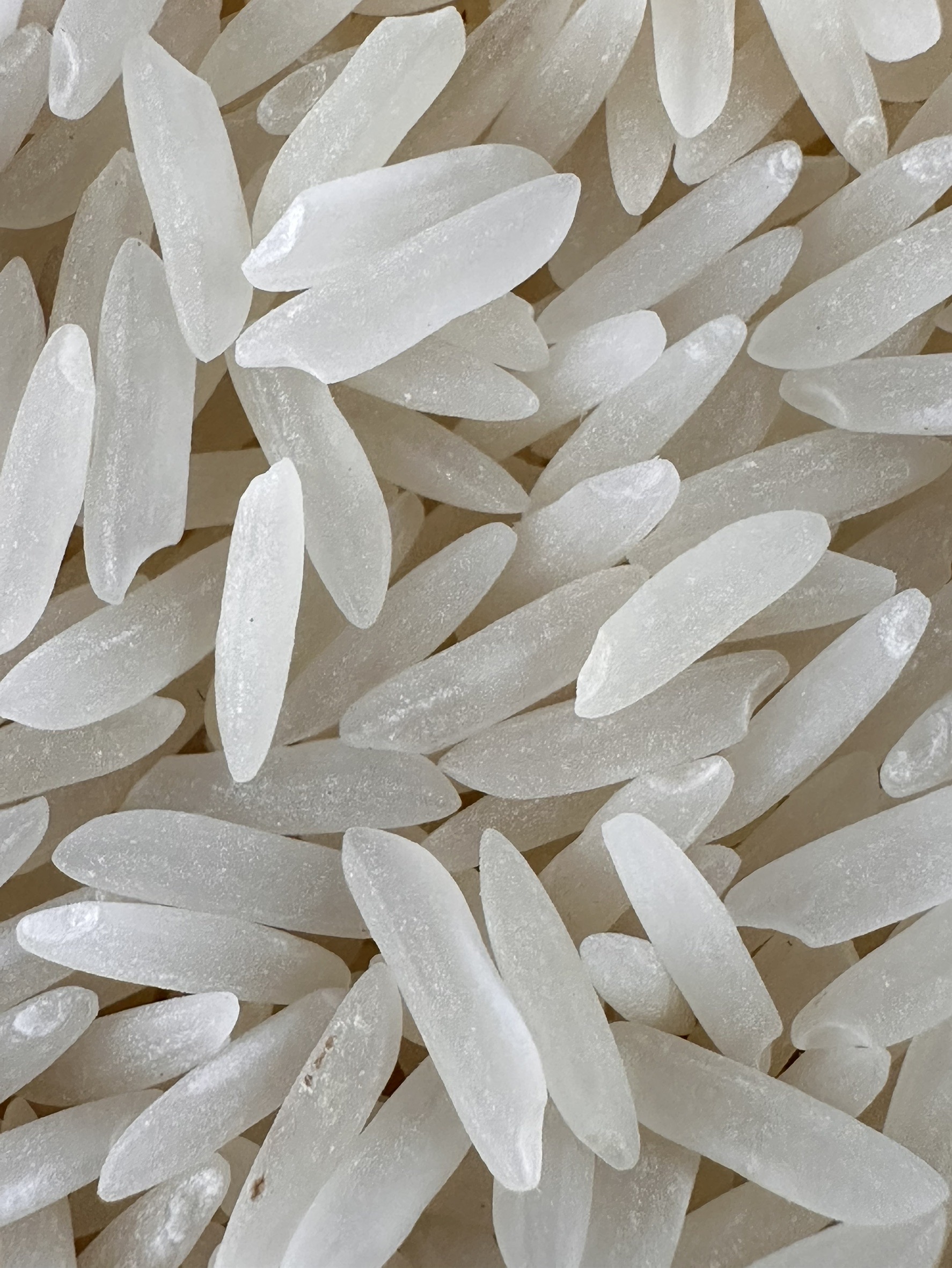 อธิบดีกรมการข้าว เผยข่าวดี กรมการข้าว คลอดพันธุ์ข้าว 4 พันธุ์ใหม่ ชูคุณภาพดี ให้ผลผลิตสูง ตรงตามความต้องการของชาวนาและผู้บริโภค 6 S 17203301