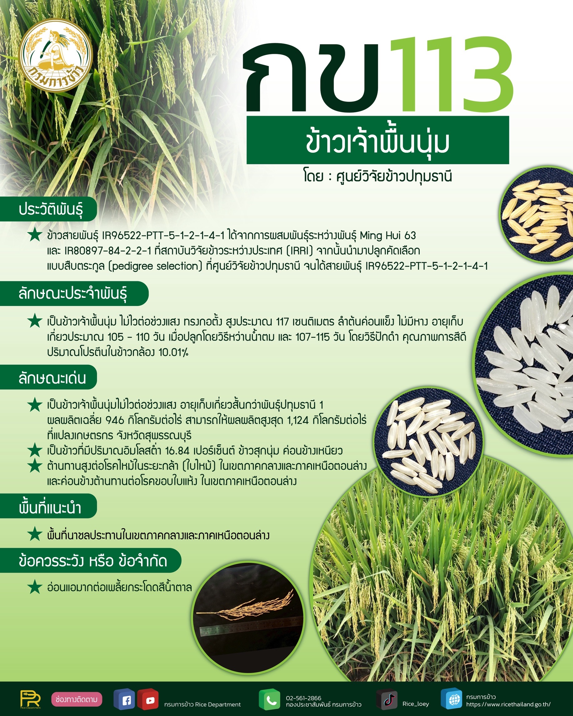 อธิบดีกรมการข้าว เผยข่าวดี กรมการข้าว คลอดพันธุ์ข้าว 4 พันธุ์ใหม่ ชูคุณภาพดี ให้ผลผลิตสูง ตรงตามความต้องการของชาวนาและผู้บริโภค 9 S 17211436