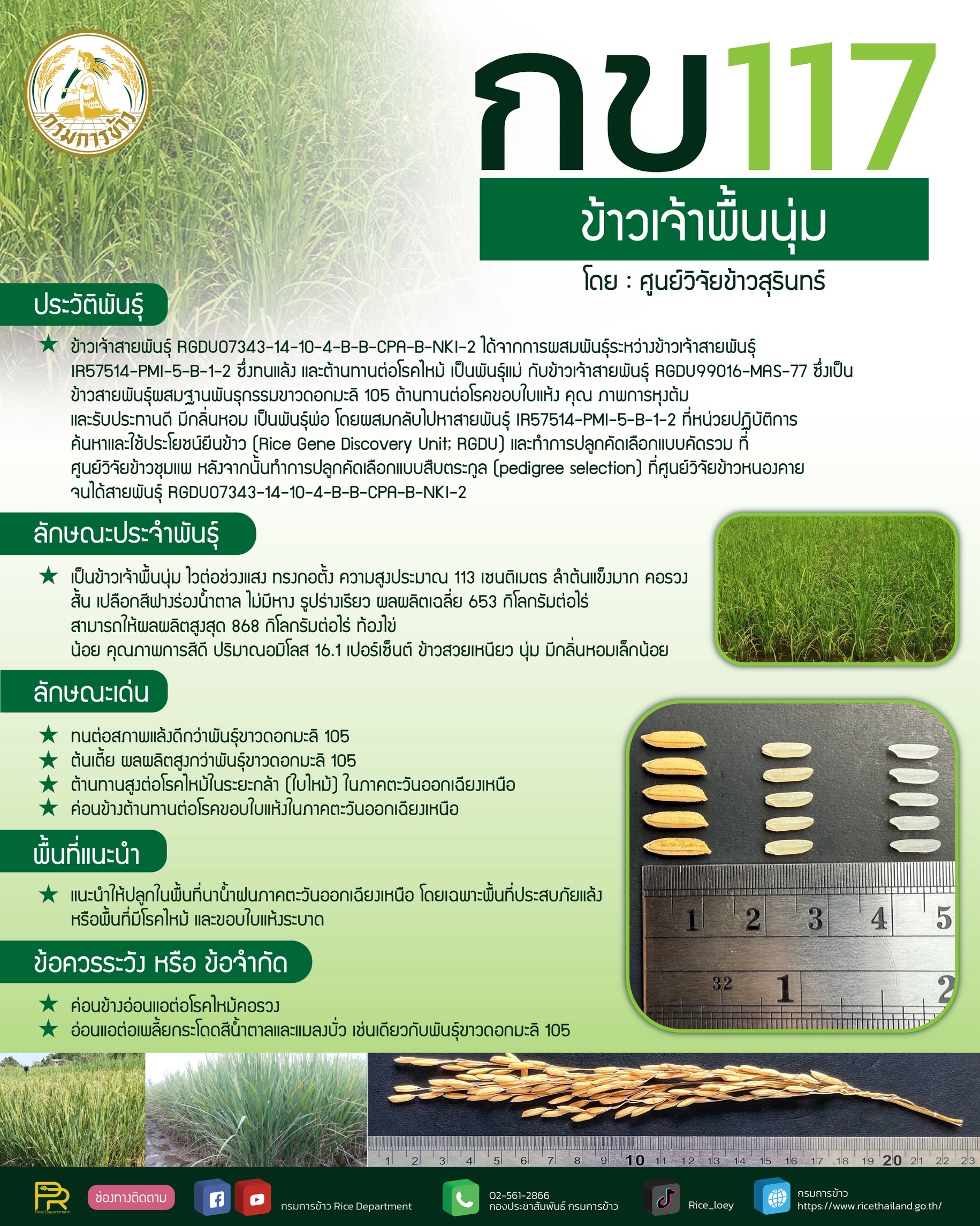 อธิบดีกรมการข้าว เผยข่าวดี กรมการข้าว คลอดพันธุ์ข้าว 4 พันธุ์ใหม่ ชูคุณภาพดี ให้ผลผลิตสูง ตรงตามความต้องการของชาวนาและผู้บริโภค 10 S 17211437