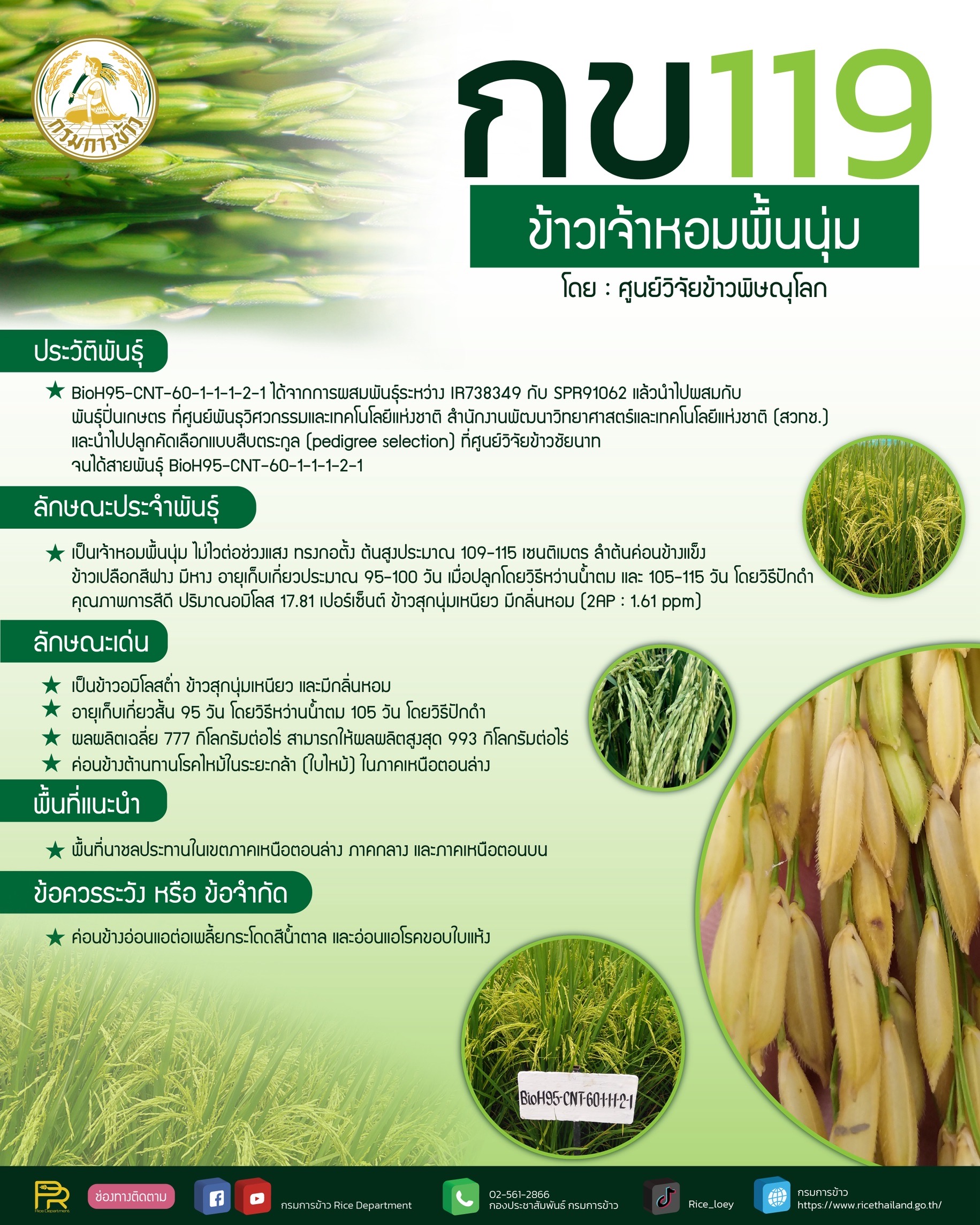 อธิบดีกรมการข้าว เผยข่าวดี กรมการข้าว คลอดพันธุ์ข้าว 4 พันธุ์ใหม่ ชูคุณภาพดี ให้ผลผลิตสูง ตรงตามความต้องการของชาวนาและผู้บริโภค 11 S 17211438