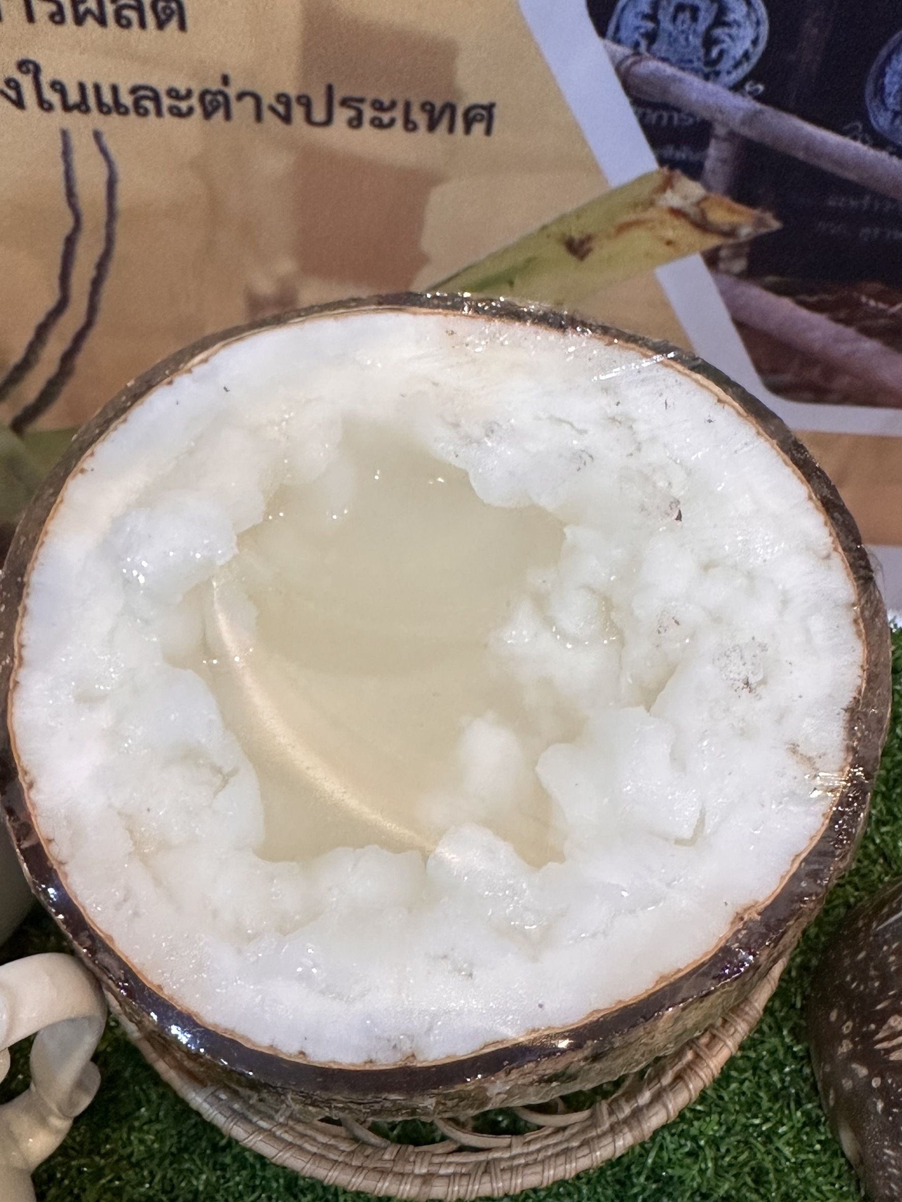 มะพร้าวกะทิพันธุ์แท้100%พันธุ์ กวก.สุราษฎร์ธานี 1พืชเศรษฐกิจใหม่ สร้างรายได้แบบก้าวกระโดด 3 S 17858568