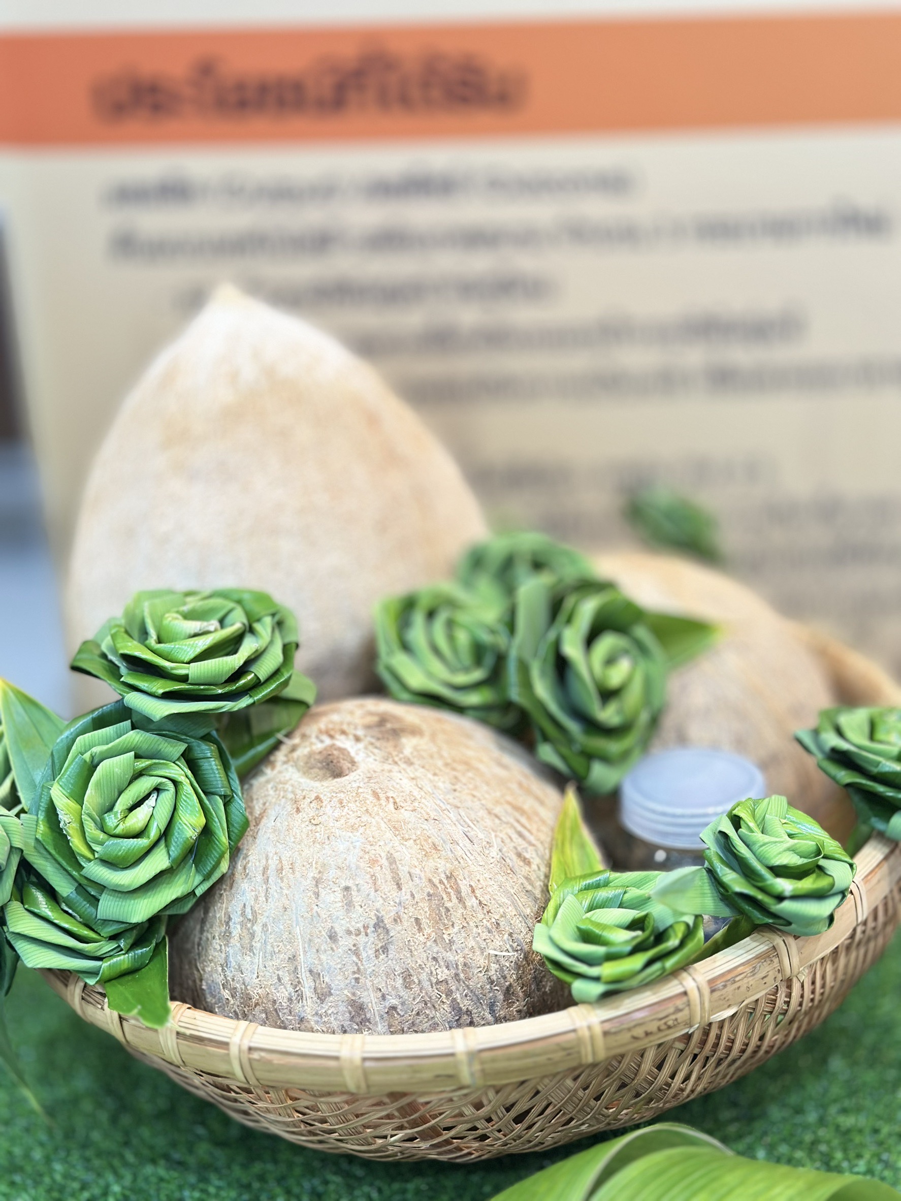 มะพร้าวกะทิพันธุ์แท้100%พันธุ์ กวก.สุราษฎร์ธานี 1พืชเศรษฐกิจใหม่ สร้างรายได้แบบก้าวกระโดด 4 S 17858570