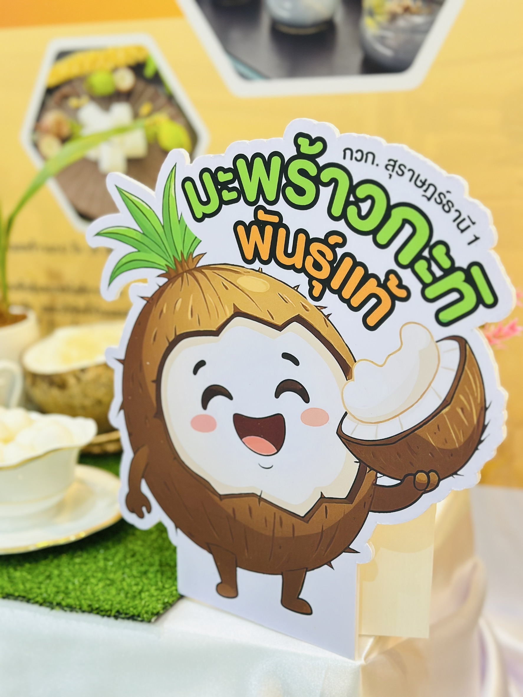 มะพร้าวกะทิพันธุ์แท้100%พันธุ์ กวก.สุราษฎร์ธานี 1พืชเศรษฐกิจใหม่ สร้างรายได้แบบก้าวกระโดด 6 S 17858577