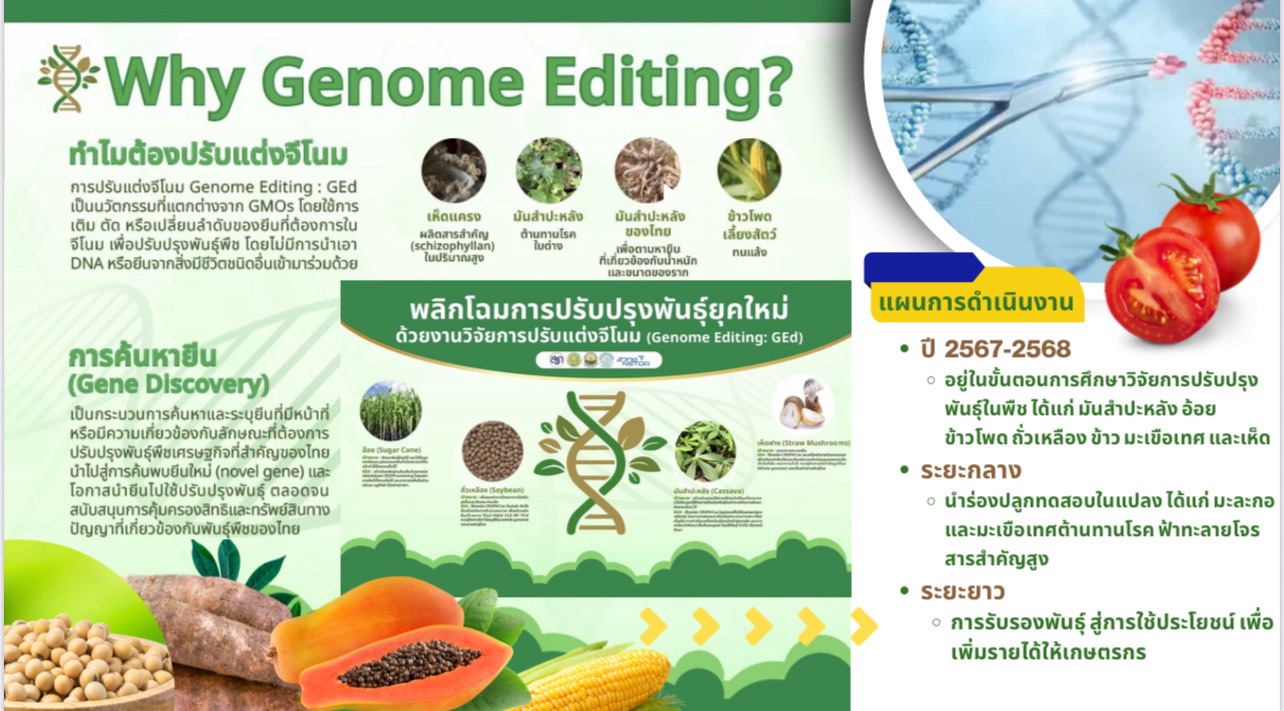 “ธรรมนัส” โต้ ”วรวัจน์“ GEd ไม่ใช่ GMOs มีความปลอดภัยต่อผู้บริโภค 6 S 17940500