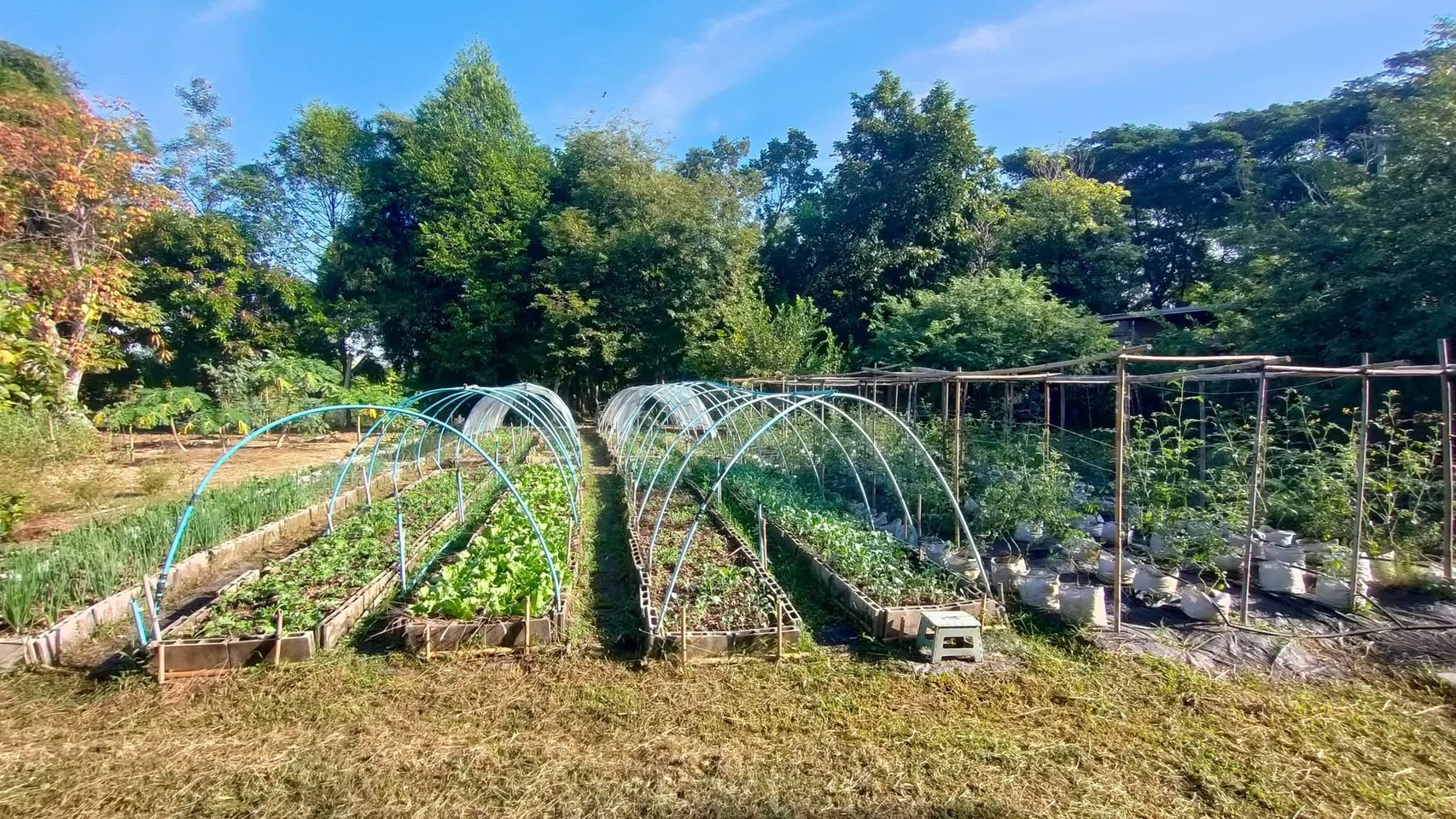 สศท.12 ชวนศึกษาวิถีเกษตรอินทรีย์ S 197976072 0 0