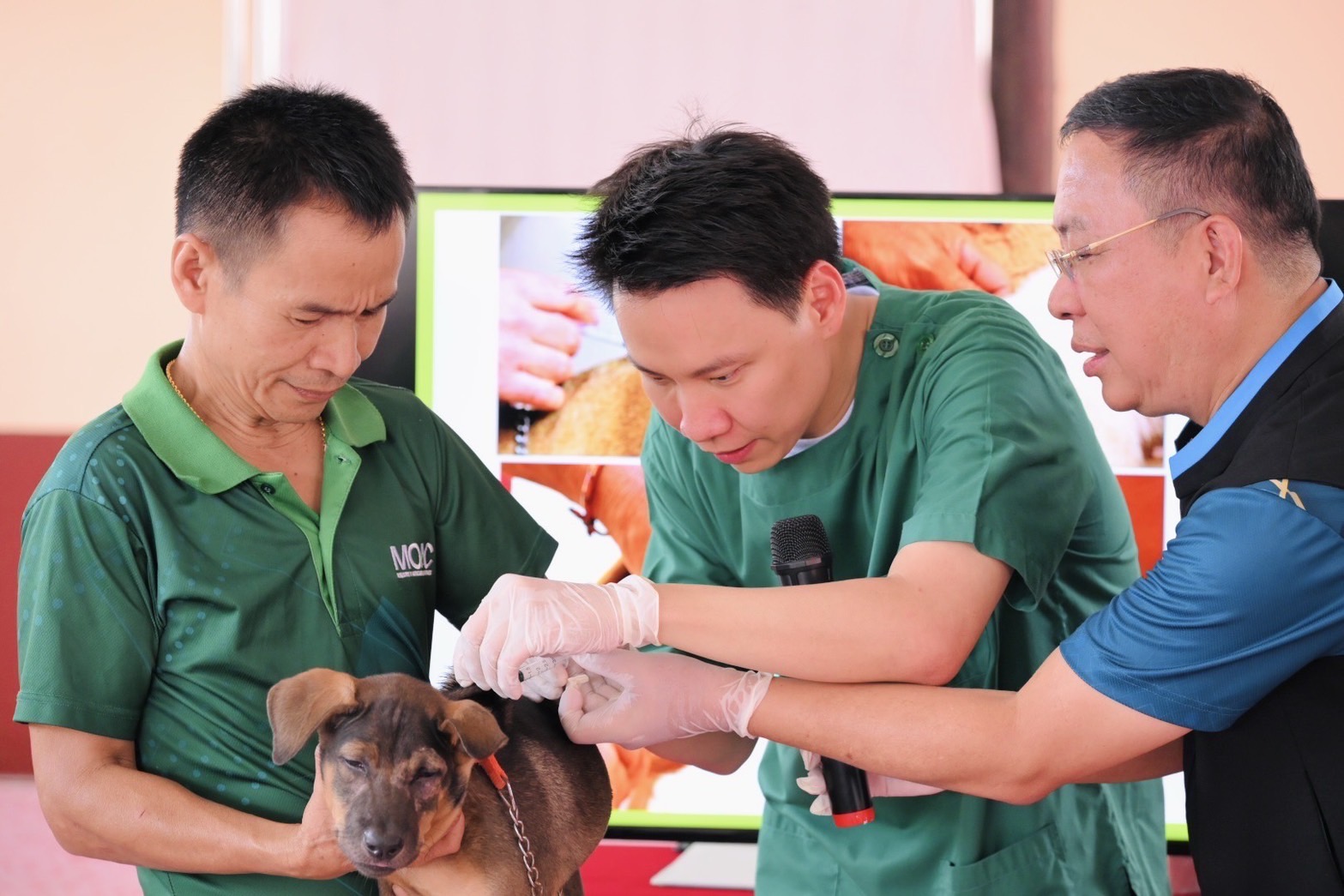 “รมว.อรรถกร” ลุย ฉะเชิงเทรา ทำหมันสุนัข-แมว คุมโรคพิษสุนัขบ้า สร้างความปลอดภัยให้ ปชช. ส่งเสริมสวัสดิภาพสัตว์ ตั้งเป้าขยายผลโครงการเพิ่ม 30% 3 S 21848188