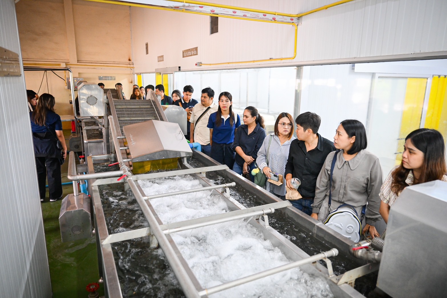 มกอช.เร่งยกระดับมาตรฐานลำไยไทย สกัดปัญหาซัลเฟอร์ไดออกไซด์ตกค้างเกินเกณฑ์ หลังจีนเข้มงวด พร้อมผลักดันนวัตกรรมใหม่ยืดอายุ-รักษาคุณภาพ สร้างความมั่นใจตลาดส่งออก 3 S 29343782