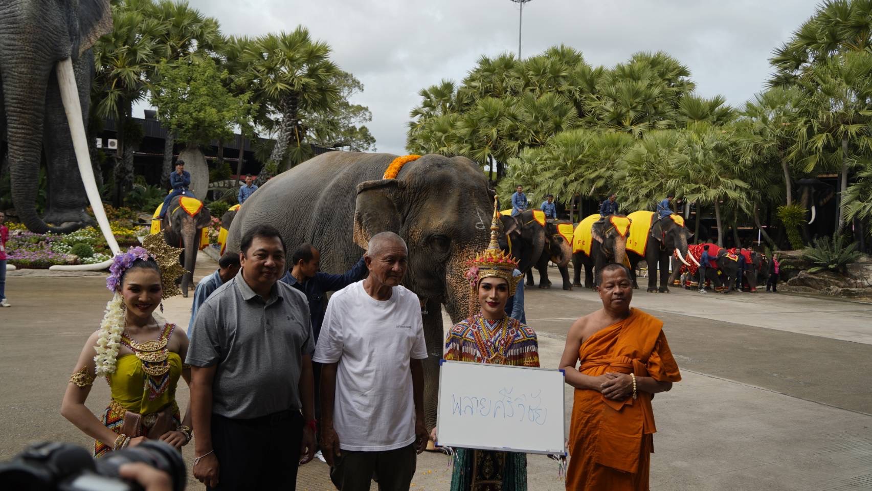 สวนนงนุชพัทยา ดูแล ทำคลอดลูกช้าง “พลายศรีวิชัย” อย่างใกล้ชิด สมาชิกใหม่แห่งปางช้าง หลังแม่ช้างเคยพลาดเหยียบลูกช้างเสียชีวิต พร้อมจัดพิธีรับขวัญอย่างยิ่งใหญ่ 6 S 7521470