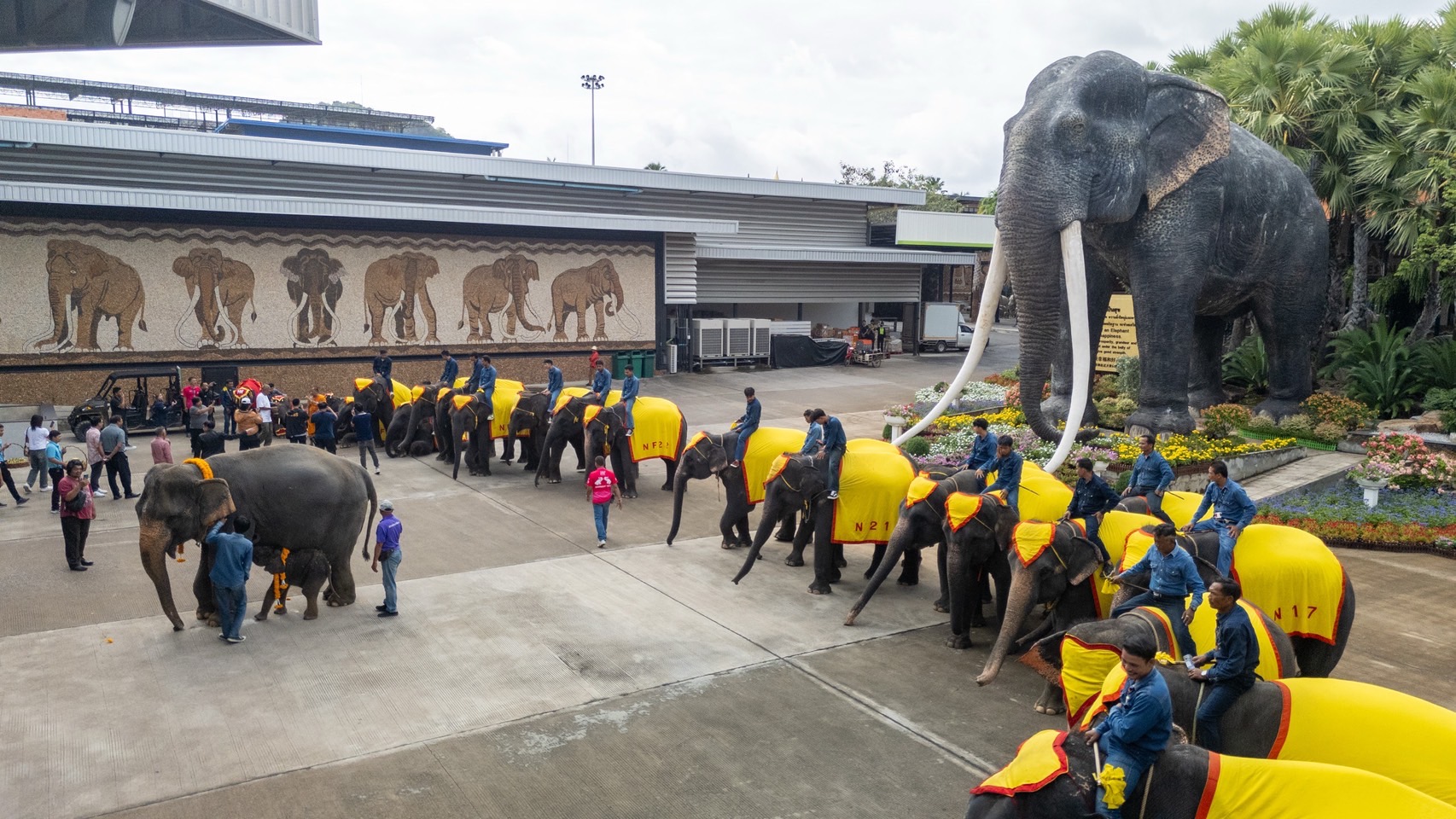 สวนนงนุชพัทยา ดูแล ทำคลอดลูกช้าง “พลายศรีวิชัย” อย่างใกล้ชิด สมาชิกใหม่แห่งปางช้าง หลังแม่ช้างเคยพลาดเหยียบลูกช้างเสียชีวิต พร้อมจัดพิธีรับขวัญอย่างยิ่งใหญ่ 10 S 7521531