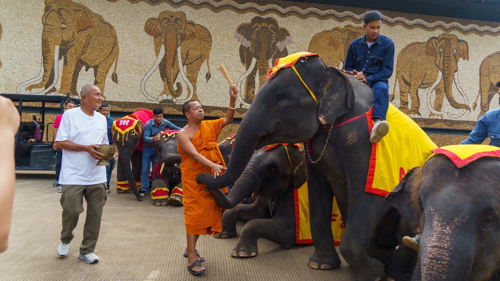 สวนนงนุชพัทยา ดูแล ทำคลอดลูกช้าง “พลายศรีวิชัย” อย่างใกล้ชิด สมาชิกใหม่แห่งปางช้าง หลังแม่ช้างเคยพลาดเหยียบลูกช้างเสียชีวิต พร้อมจัดพิธีรับขวัญอย่างยิ่งใหญ่ 11 S 7521543