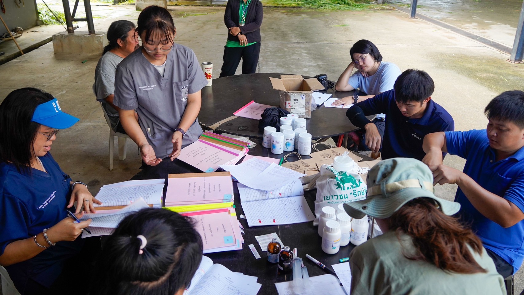 “ตรวจสุขภาพประจำปีช้าง S 8013358