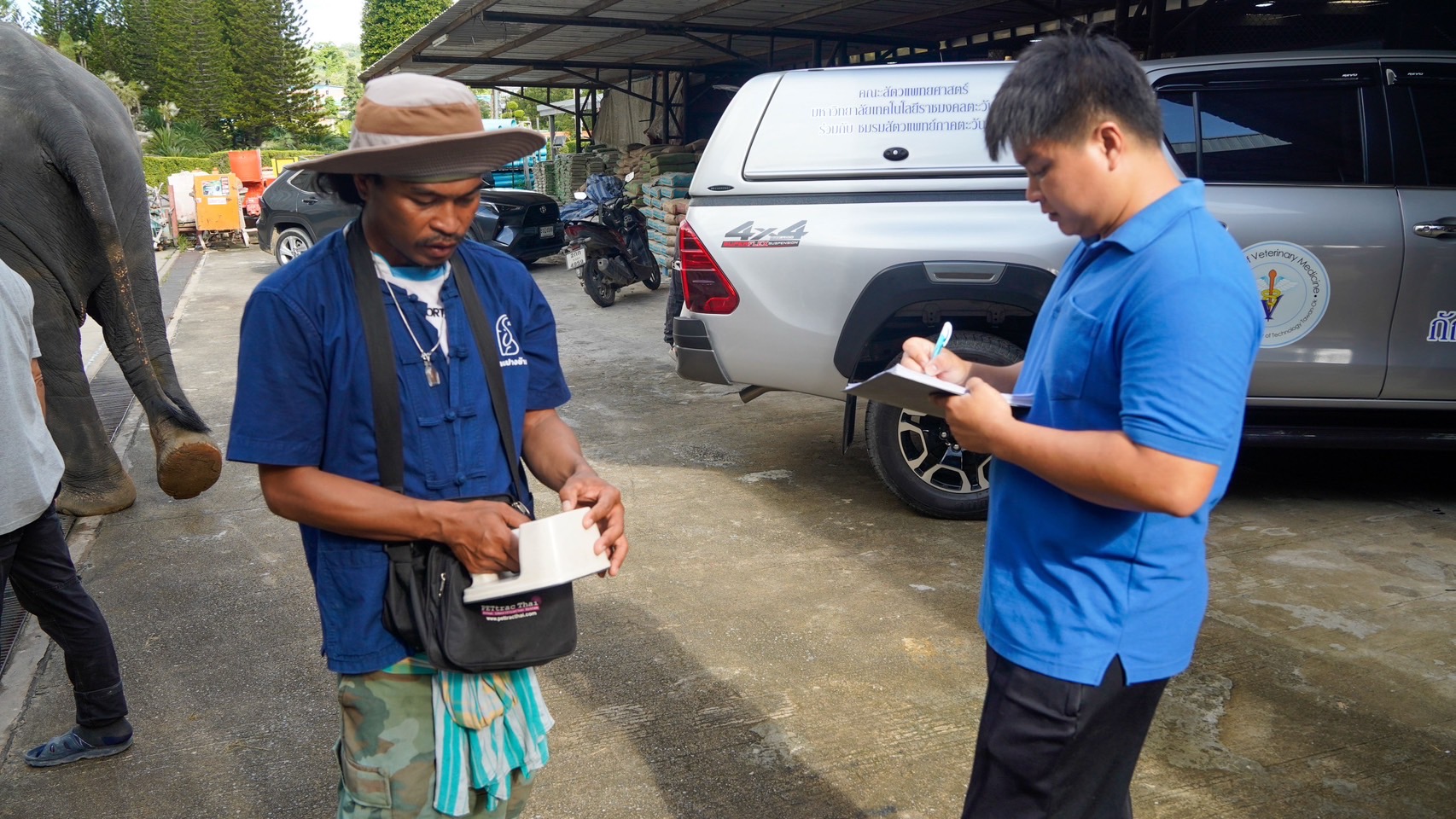 “ตรวจสุขภาพประจำปีช้าง S 8013388