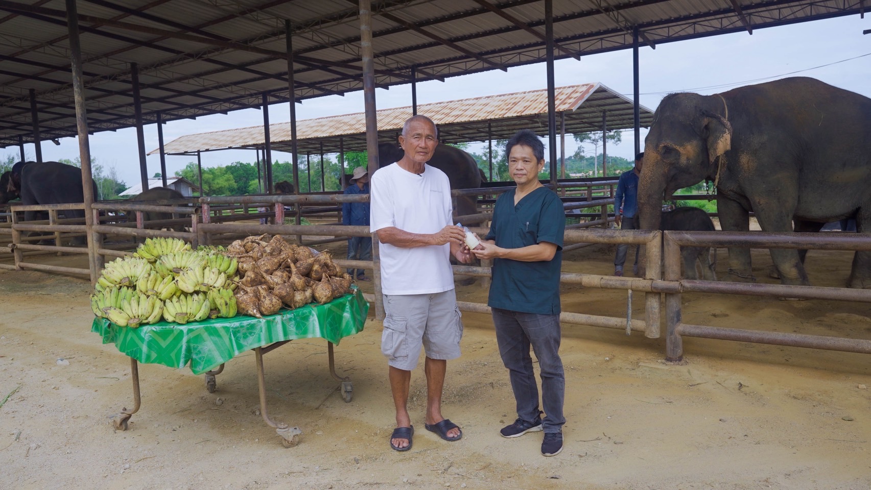 สวนนงนุชพัทยา เร่งด่วน ส่ง “น้ำนมทองคำ” จากแม่ช้าง ช่วยชีวิตลูกช้างป่าพลัดหลง “น้องข้าวต้ม” 2 S 8258909