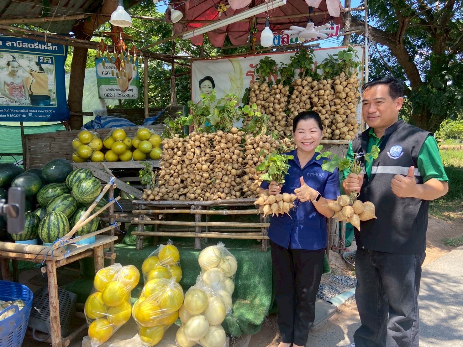 สศท.4 ชู ‘มันแกวบรบือ’ GI จ.มหาสารคาม พืชสร้างรายได้ ยกระดับสู่สินค้าเกษตรมูลค่าสูง 4 S 83353639 0