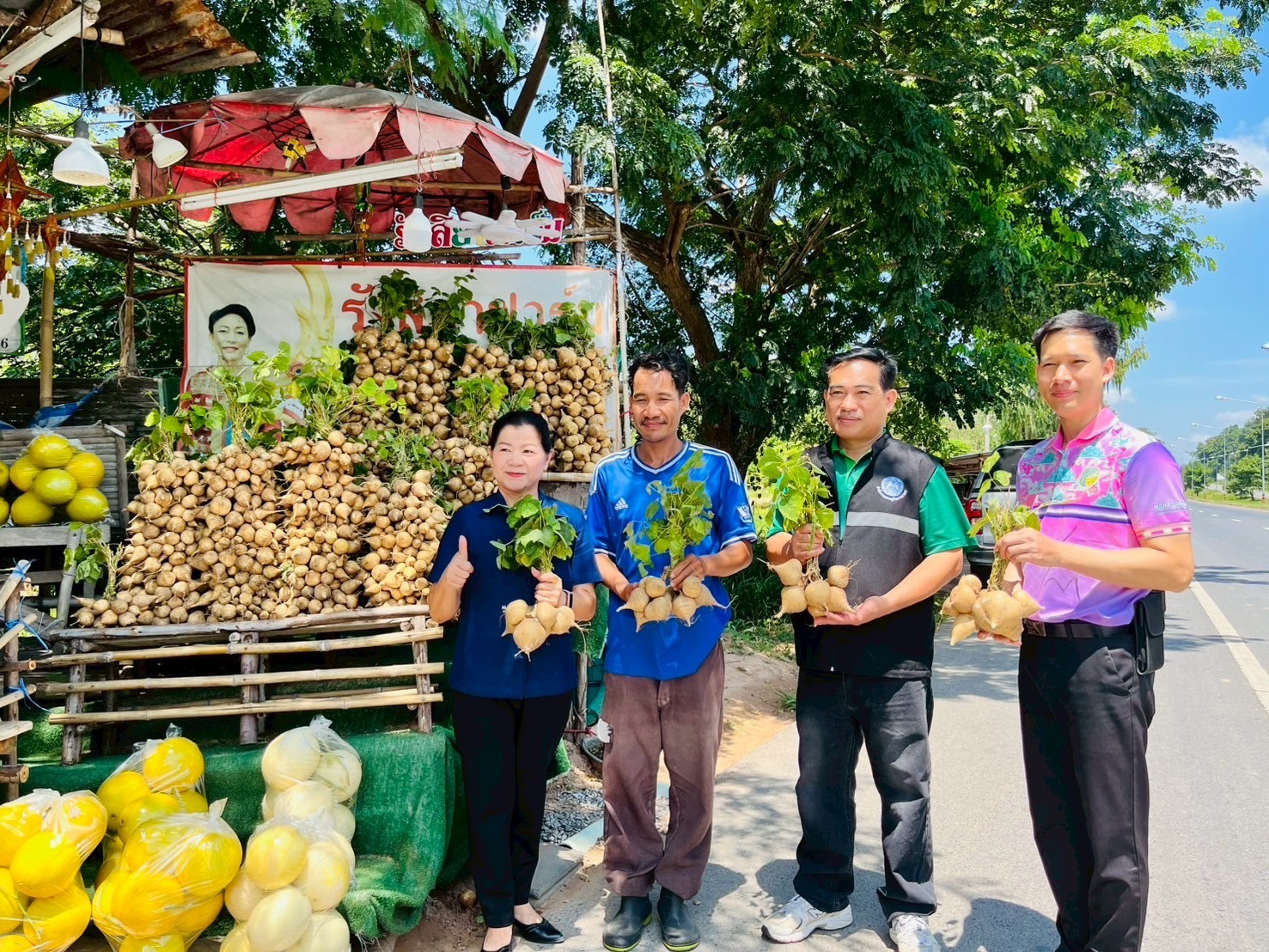 สศท.4 ชู ‘มันแกวบรบือ’ GI จ.มหาสารคาม พืชสร้างรายได้ ยกระดับสู่สินค้าเกษตรมูลค่าสูง 3 S 83353641 0