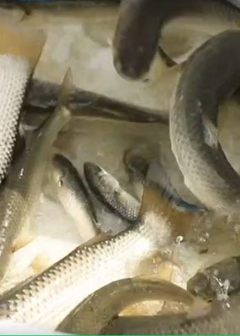 capture 20250916 131201