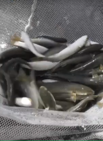 capture 20250916 131451