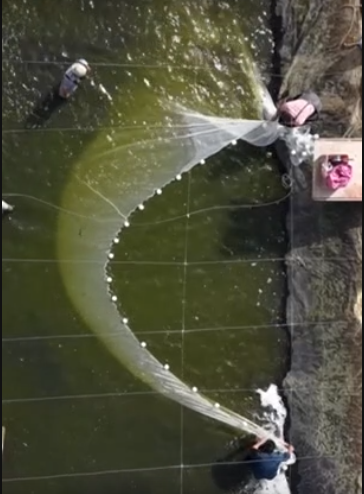 capture 20250916 131653