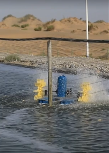 capture 20250916 132346