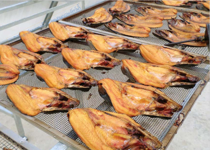 การแปรรูปสัตว์น้ำ (ตอนที่ 1 ): capture 20250916 190839แแ