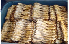 การแปรรูปสัตว์น้ำ (ตอนที่ 1 ): capture 20250916 191245