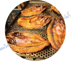 การแปรรูปสัตว์น้ำ (ตอนที่ 1 ): capture 20250916 191455