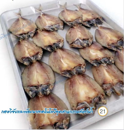 การแปรรูปสัตว์น้ำ( ตอนที่ 5 ) : ปลาแดดเดียว 3 capture 20250918 102240วว