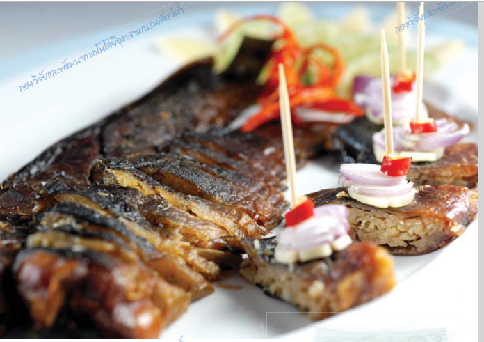 การแปรรูปสัตว์น้ำ ( ตอนที่ 11 ) : ปลาดุกร้า 2 capture 20250920 140041ส