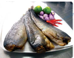 การแปรรูปสัตว์น้ำ ( ตอนที่ 11 ) : ปลาดุกร้า 4 capture 20250920 151703