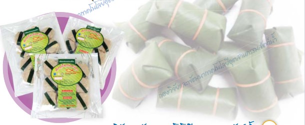 การแปรรูปสัตว์น้ำ ( ตอนที่ 14 ) แหนมปลา (ส้มฟัก) 5 capture 20250921 144054บบ