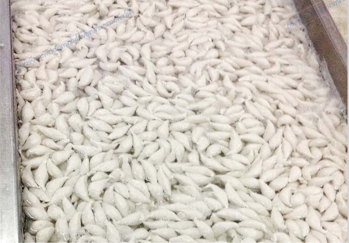 capture 20250923 115433วว