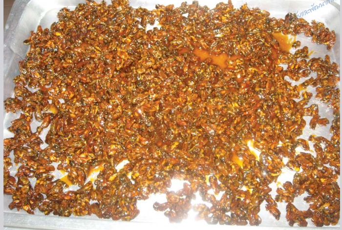 การแปรรูปสัตว์น้ำ ( ตอนที่ 28 ): ปลา/หอย ทอดกรอบสามรส 2 capture 20250927 134313ยยย