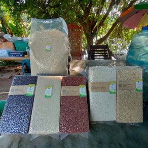 สศท.12 ชวนศึกษาวิถีเกษตรอินทรีย์ image 2 0