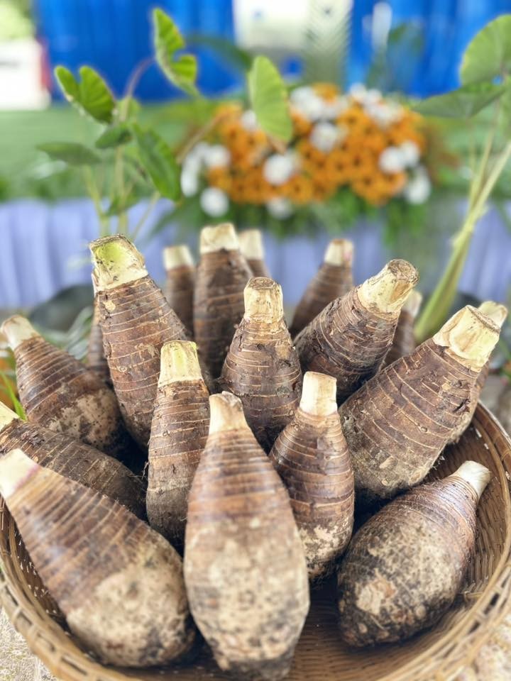 messageImage 1756862463595