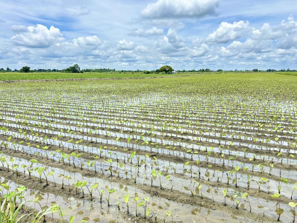 messageImage 1756862517172