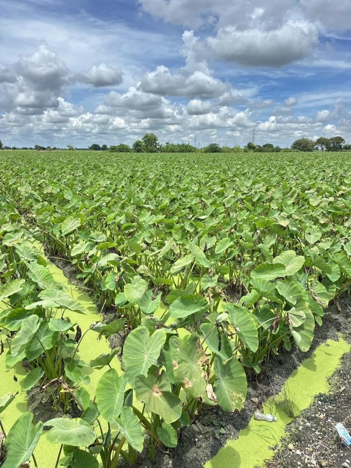 messageImage 1756862542629