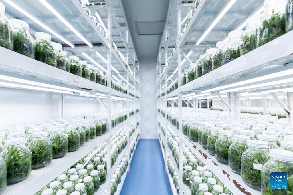 messageImage 1756863567605