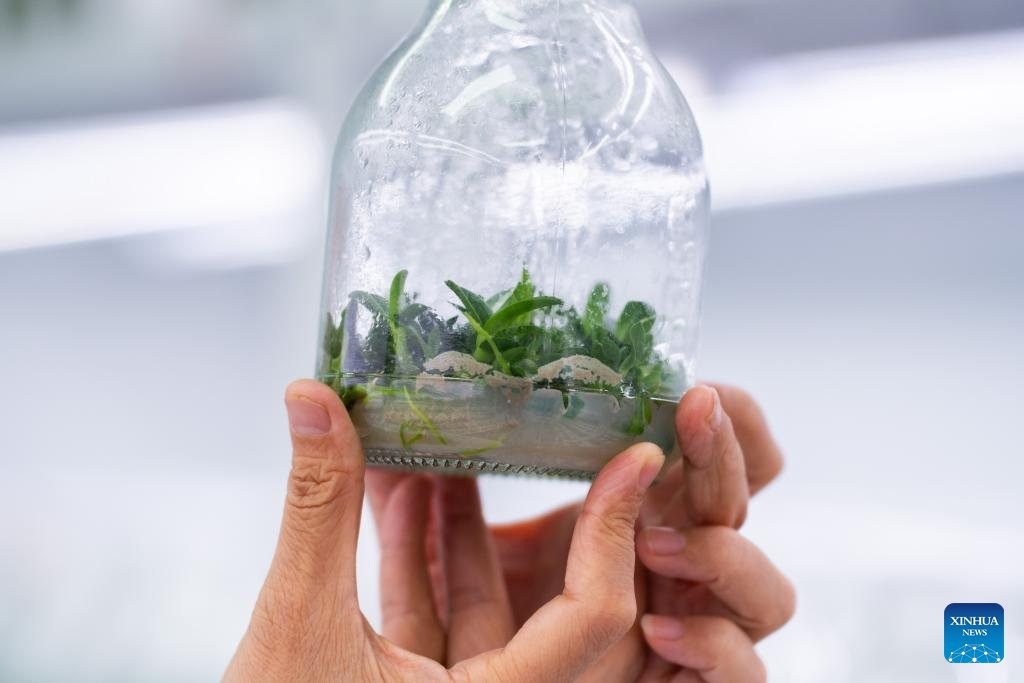 messageImage 1756863575563