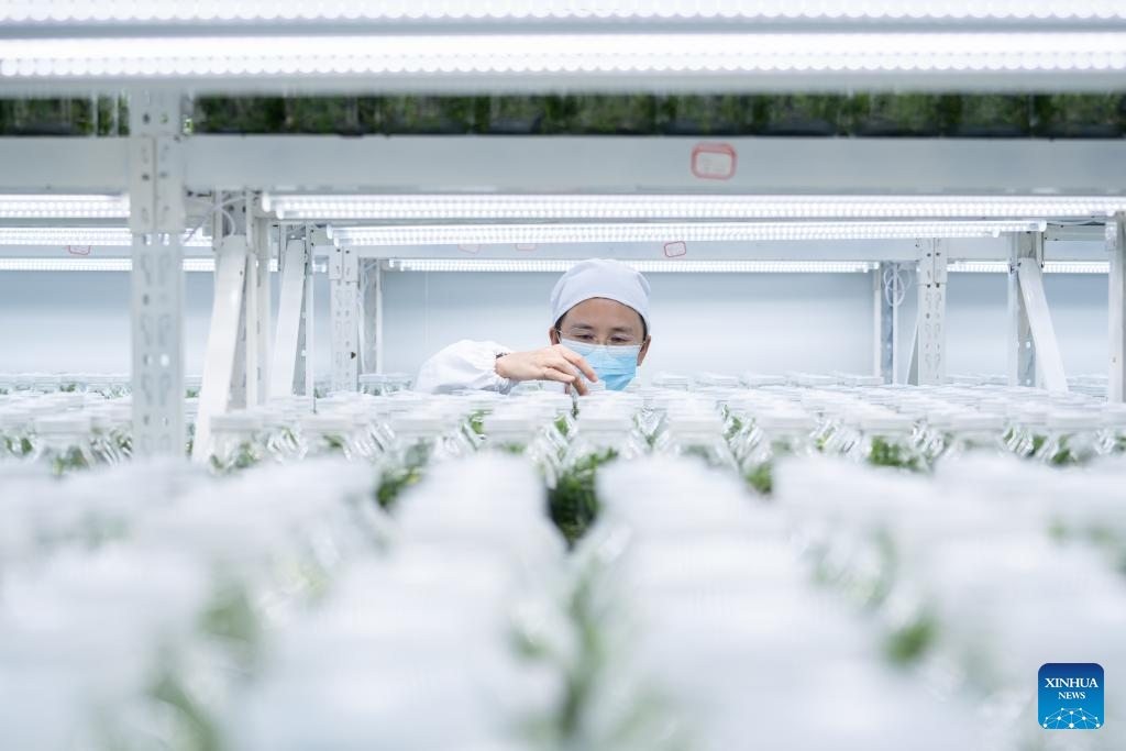 messageImage 1756863590648