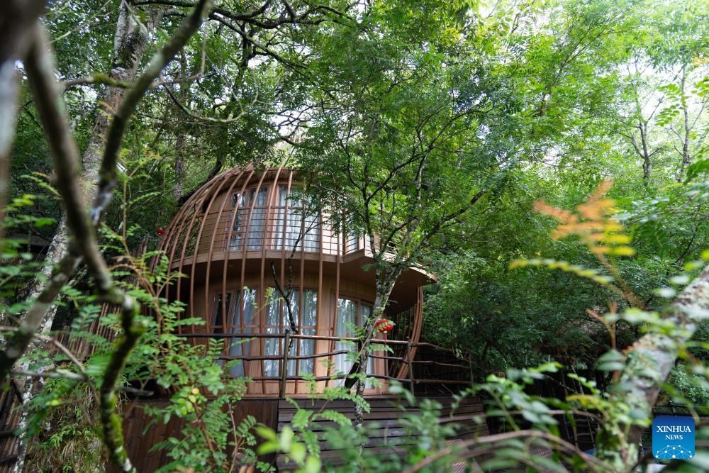 messageImage 1756863616881