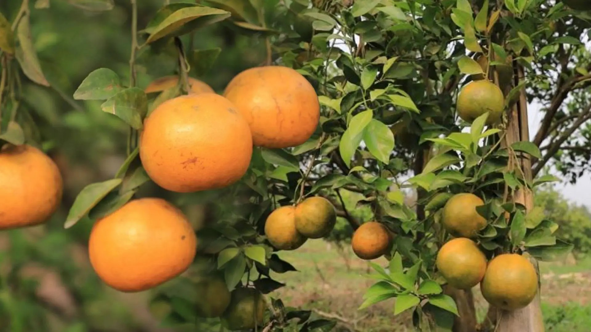 messageImage 1757124086821